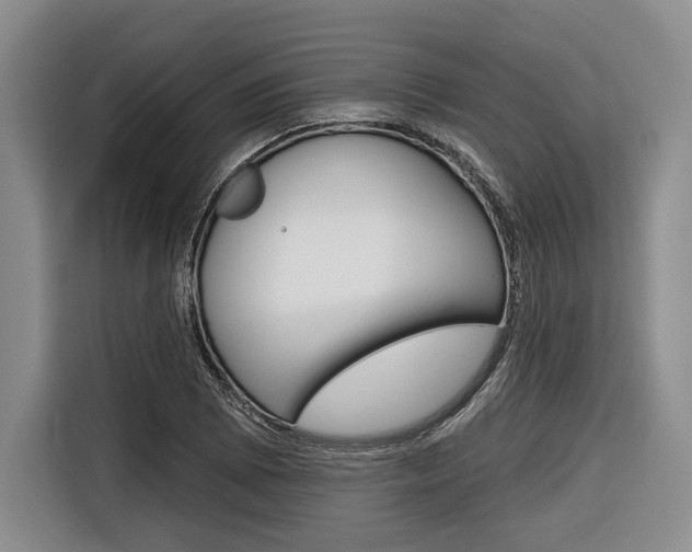 X0000116671073200912140941