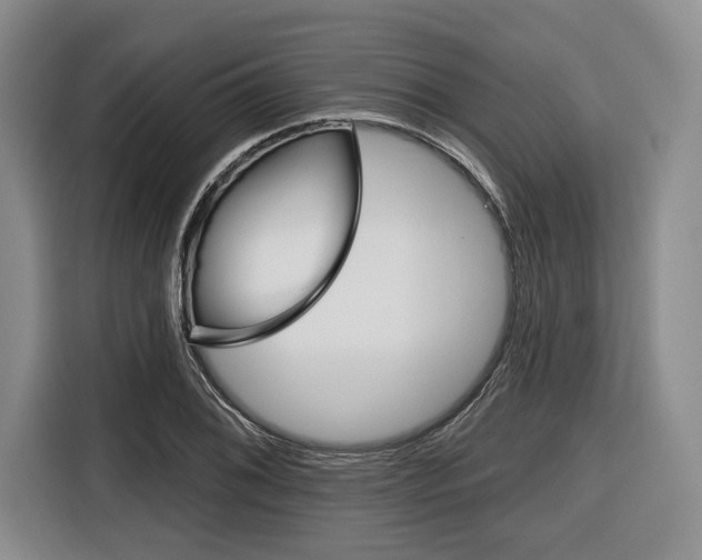 X0000116671076200912140940