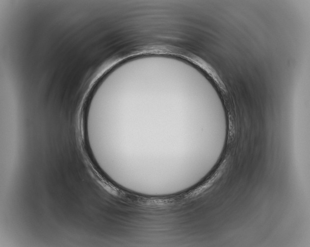 X0000116671078200912140940