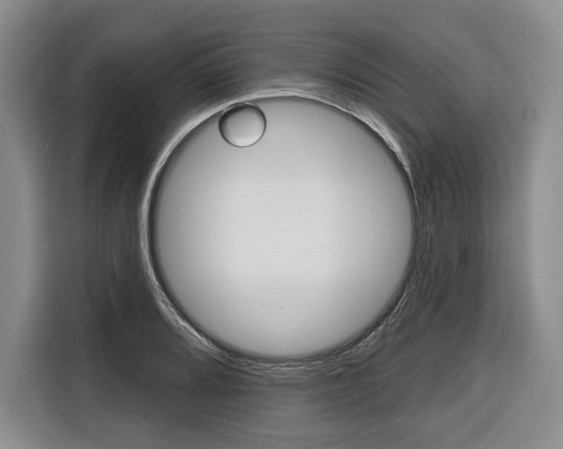 X0000116671080200912140940