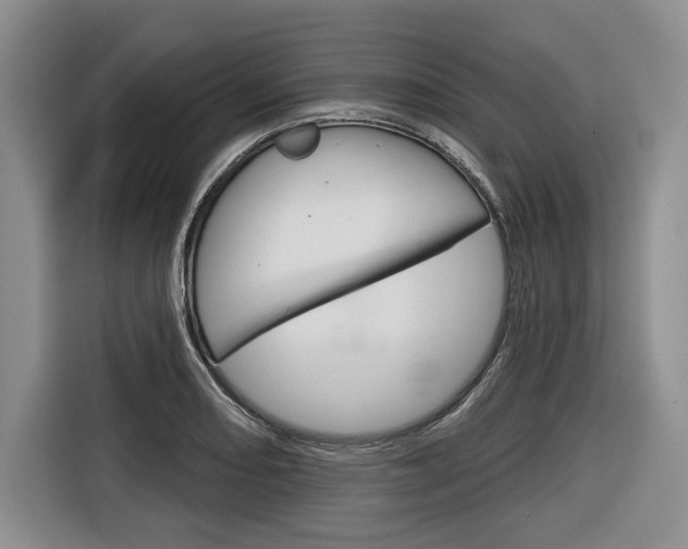 X0000116671082200912140940