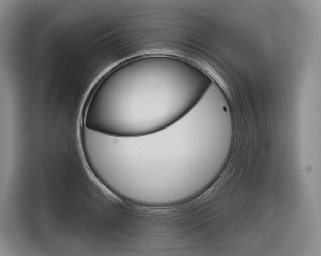 X0000116671084200912140940