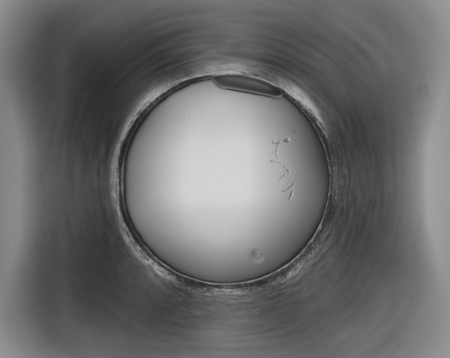 X0000116671088200912140940