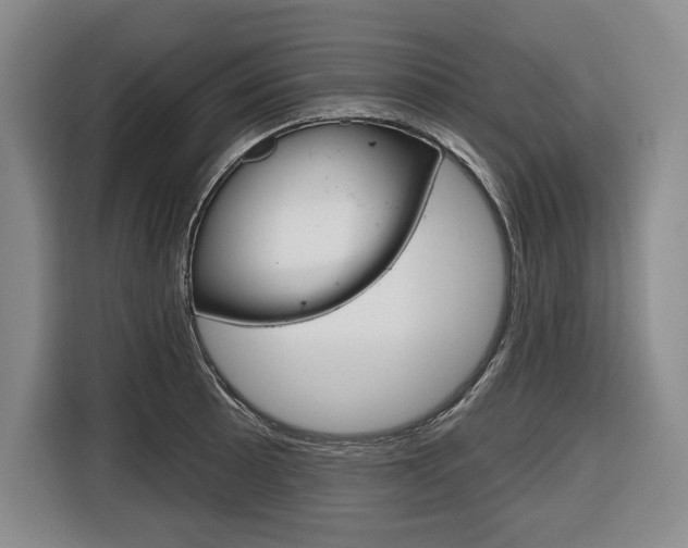 X0000116671089200912140940
