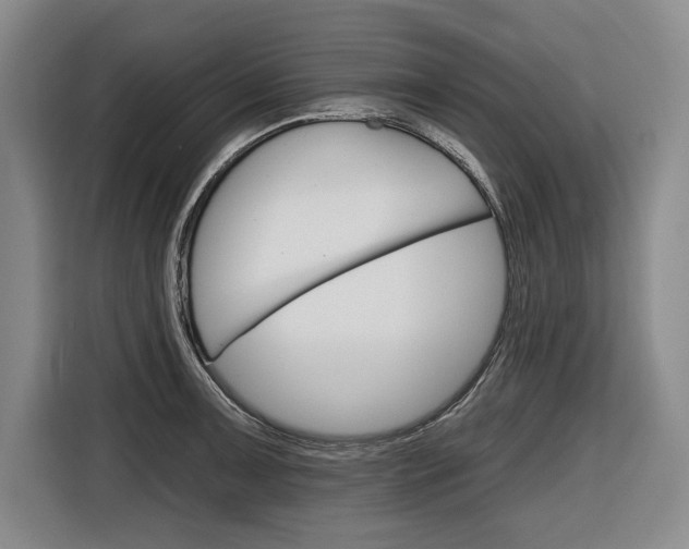 X0000116671091200912140940