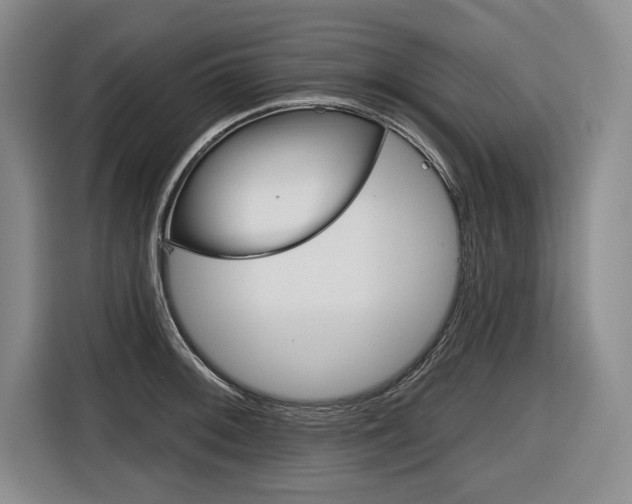 X0000116671092200912140940