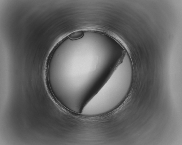 X0000116671093200912140940