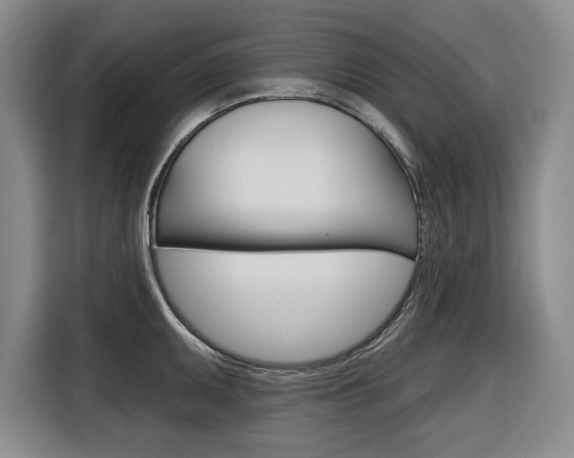 X0000116671095200912140940