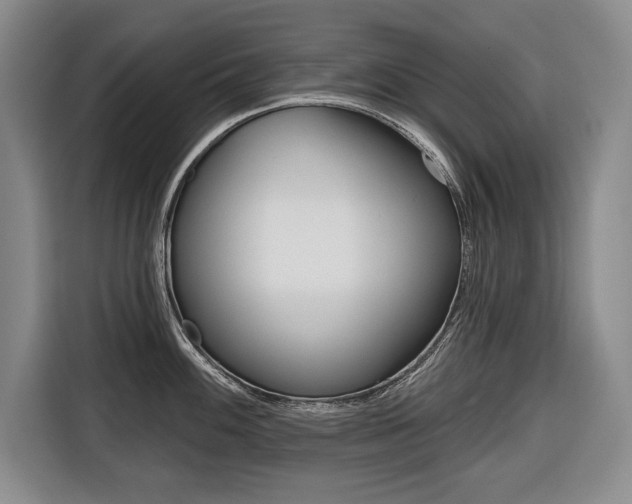 X0000116671100200912140940