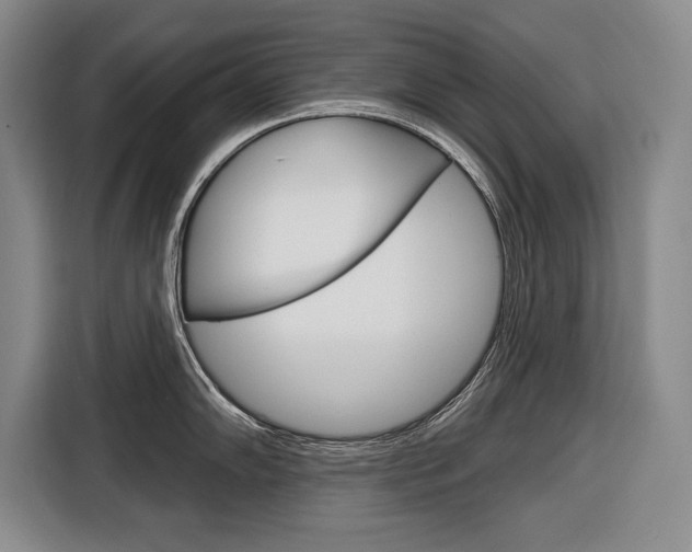 X0000116671102200912140940