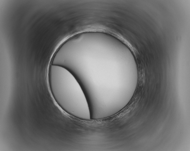 X0000116671103200912140940