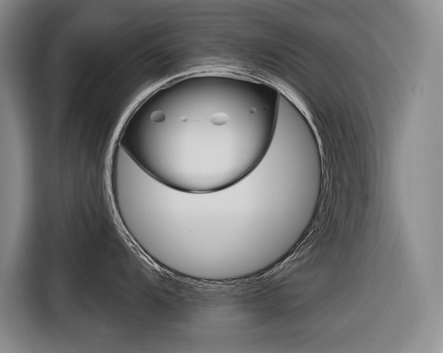 X0000116671104200912140940