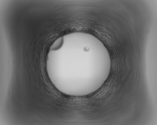 X0000116671105200912140939