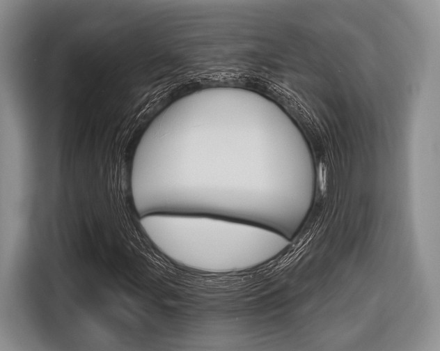 X0000116671107200912140940