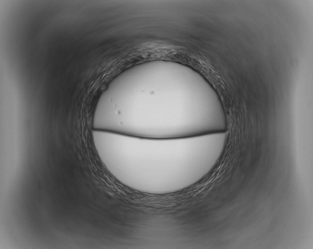X0000116671109200912140940