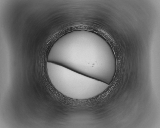 X0000116671111200912140940