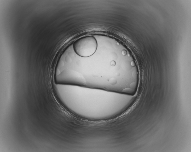 X0000116671113200912140940