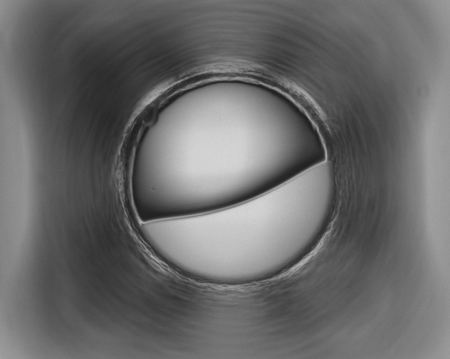 X0000116671114200912140940