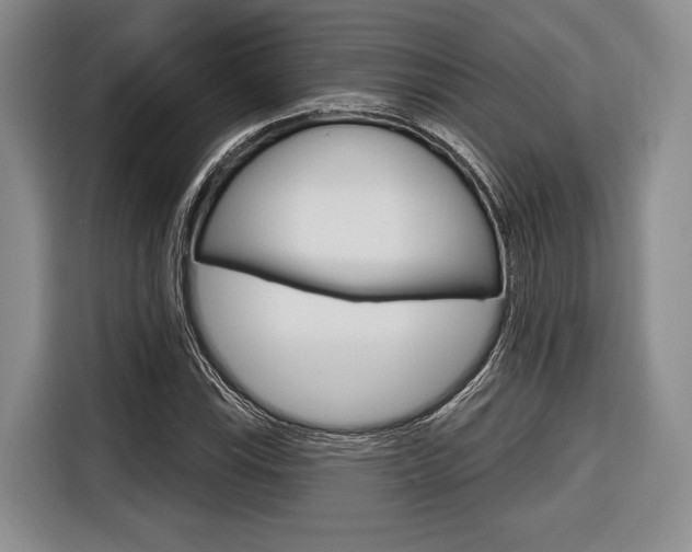 X0000116671115200912140940