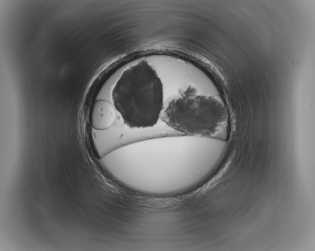 X0000116671117200912140940