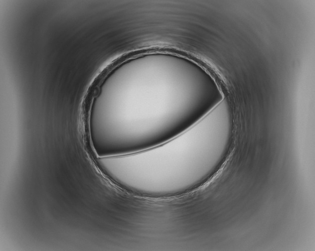 X0000116671118200912140940