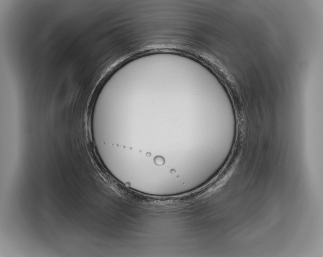 X0000116671121200912140940