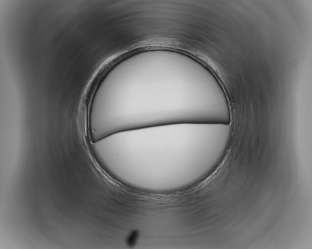 X0000116671123200912140940