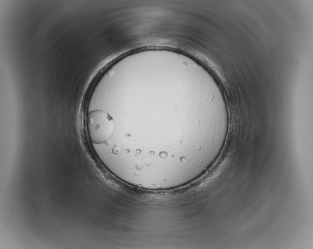 X0000116671125200912140940
