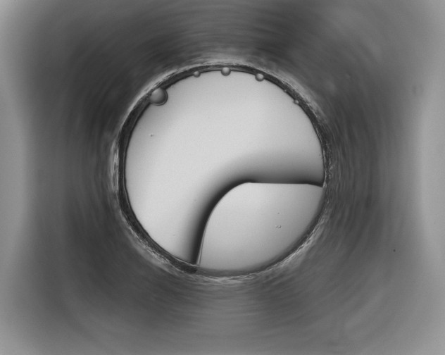 X0000116671126200912140940