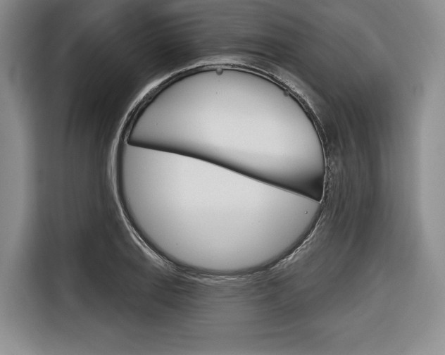 X0000116671127200912140940