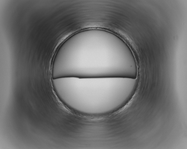 X0000116671129200912140940