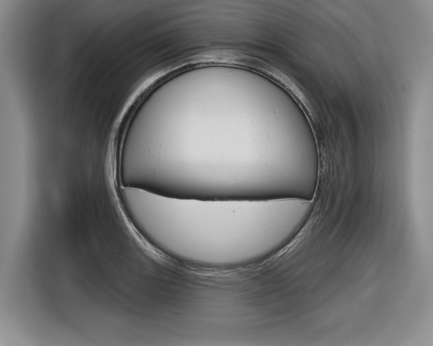 X0000116671131200912140940