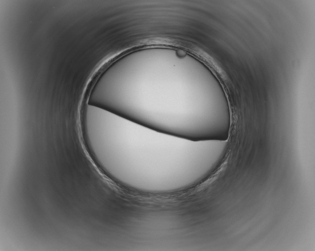 X0000116671133200912140940