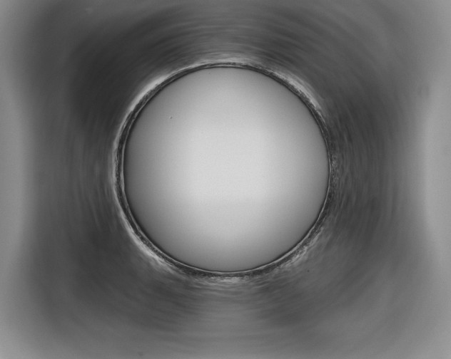 X0000116671135200912140940