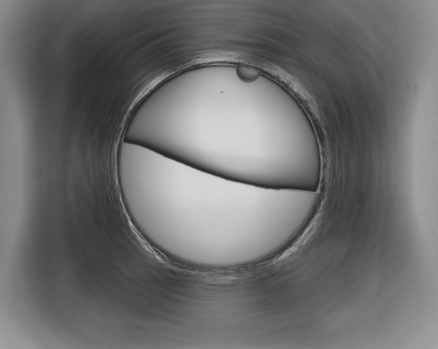 X0000116671137200912140940
