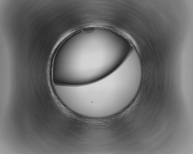 X0000116671138200912140940