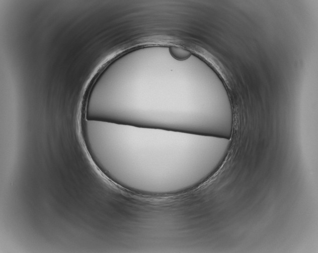 X0000116671139200912140940