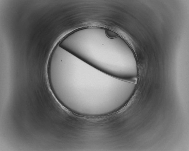 X0000116671141200912140940