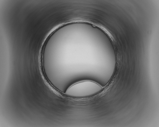 X0000116671142200912140940