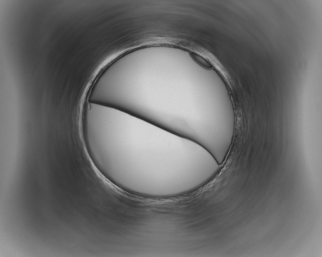 X0000116671143200912140940