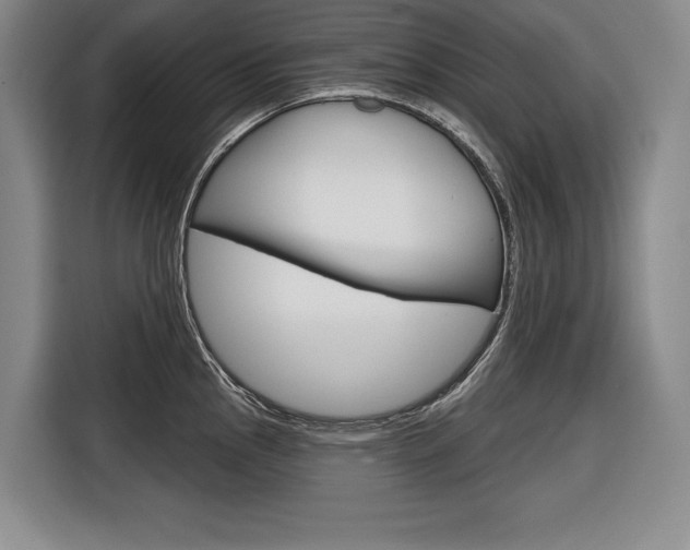 X0000116671145200912140940