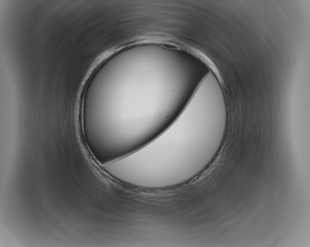 X0000116671146200912140940