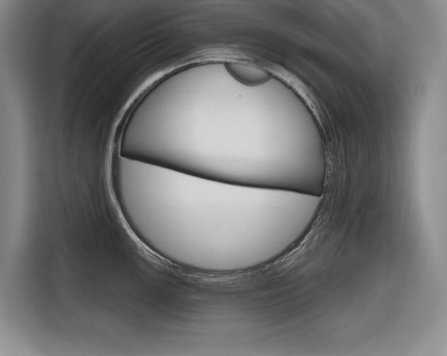 X0000116671147200912140940