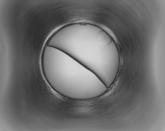X0000116671149200912140940