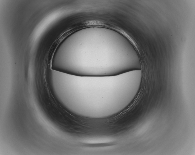 X0000116671151200912140940