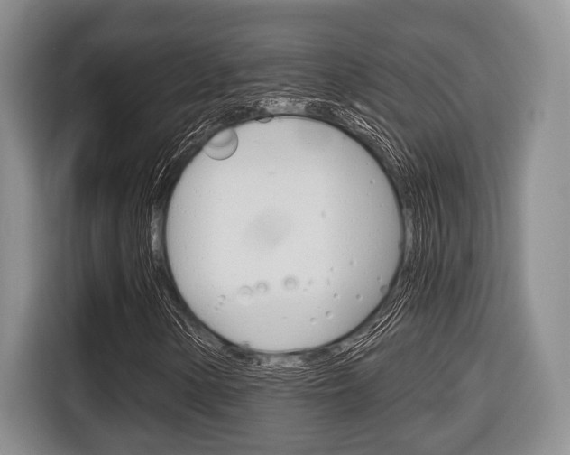 X0000116671154200912140939