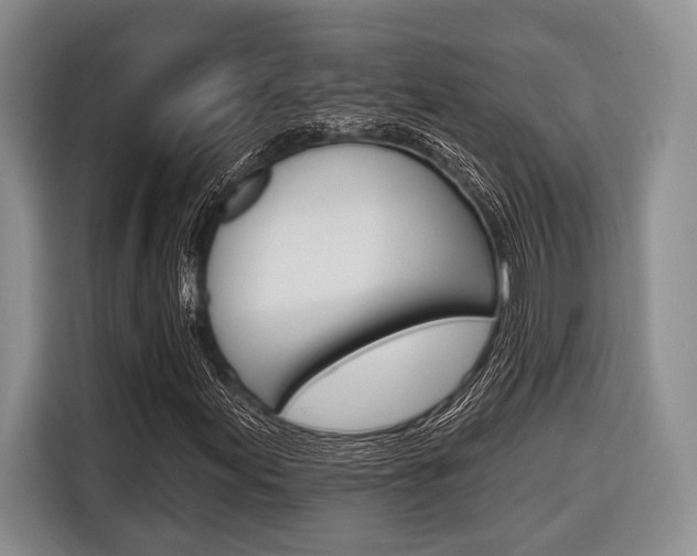 X0000116671155200912140939