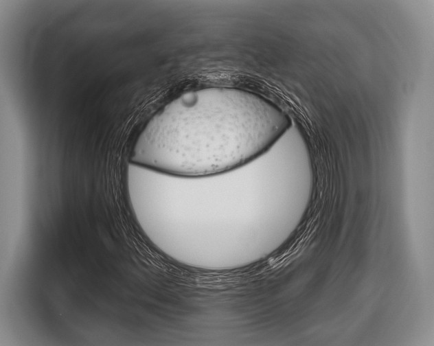 X0000116671156200912140939