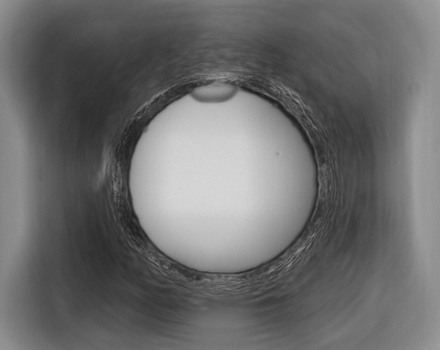 X0000116671158200912140939