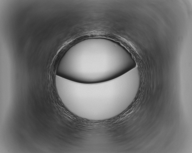 X0000116671160200912140939